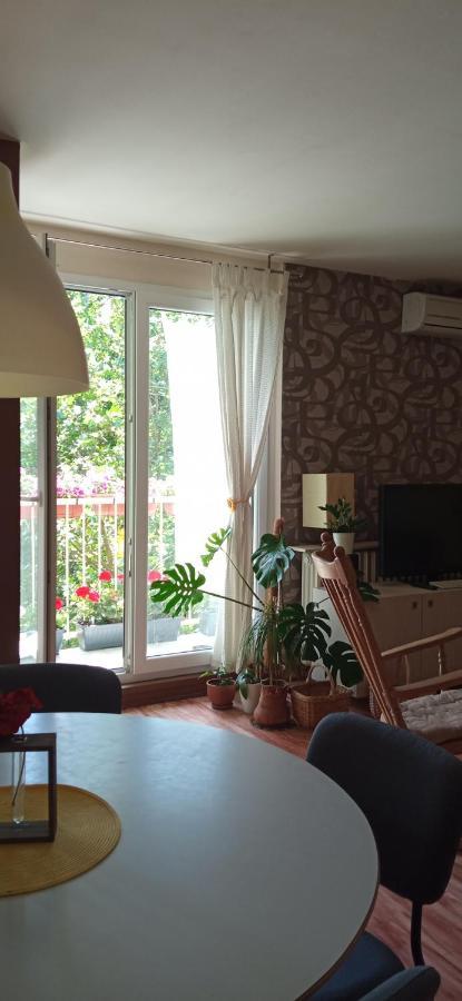 Branysol Apartman 诺威萨 外观 照片
