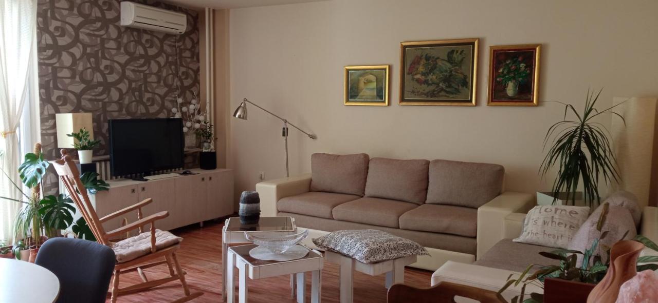 Branysol Apartman 诺威萨 外观 照片