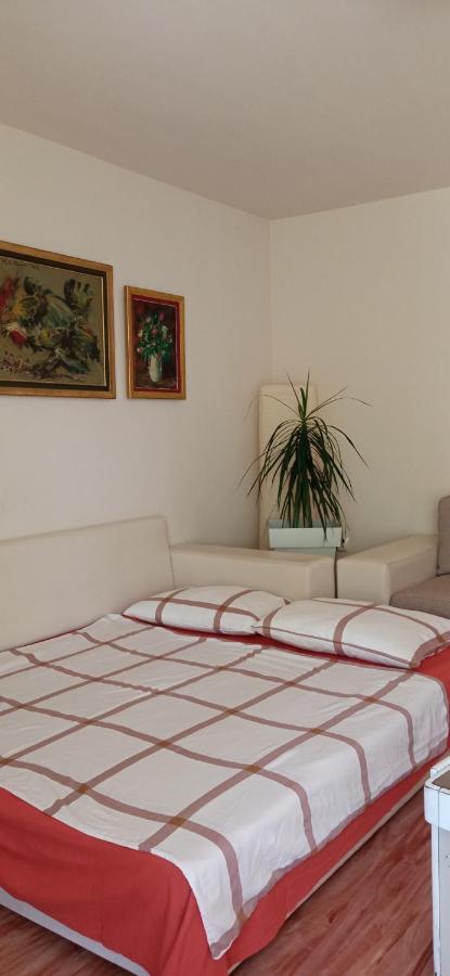 Branysol Apartman 诺威萨 外观 照片
