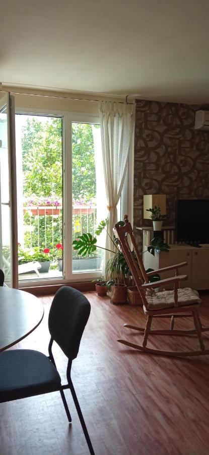 Branysol Apartman 诺威萨 外观 照片